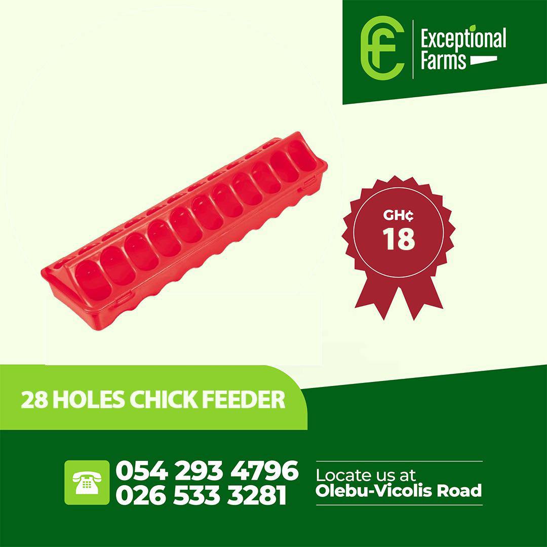 28 holes chick feeder